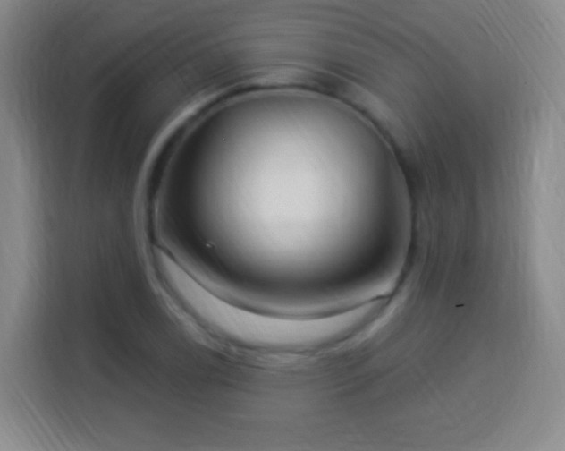 X0000113961122200910021520