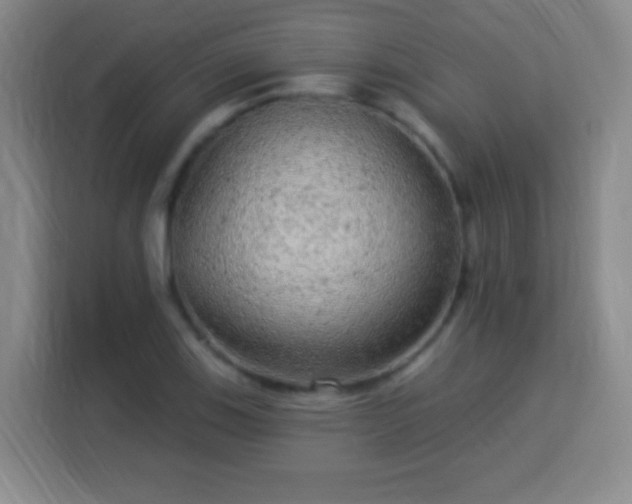 X0000113961123200910021520