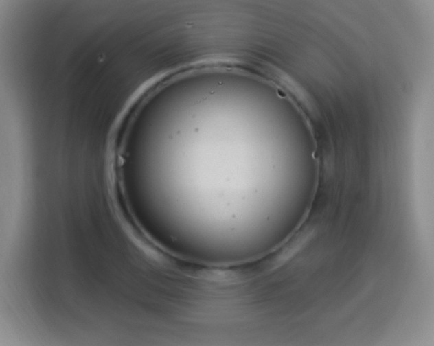 X0000113961124200910021520