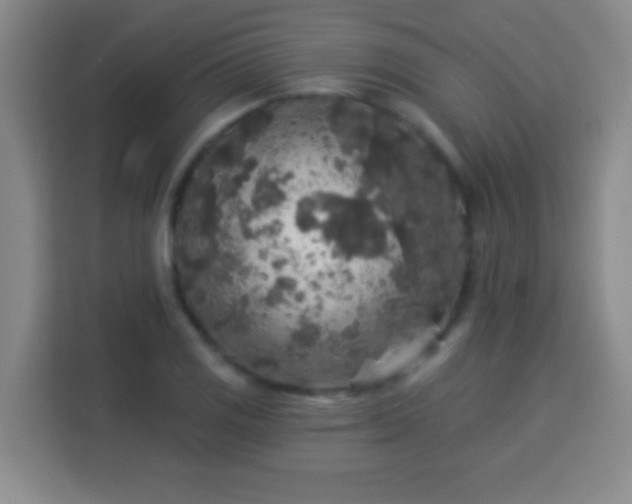 X0000113961125200910021520