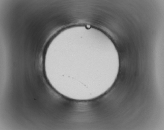 X0000113961126200910021520