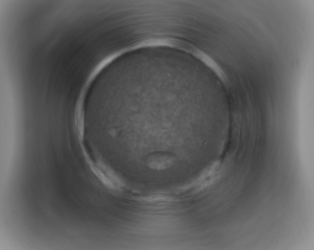 X0000113961127200910021520