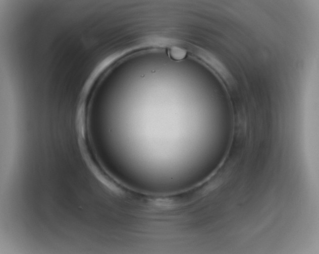 X0000113961128200910021520