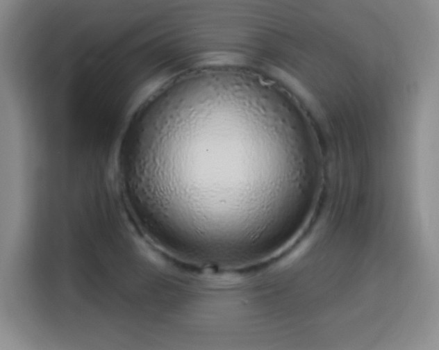 X0000113961129200910021520