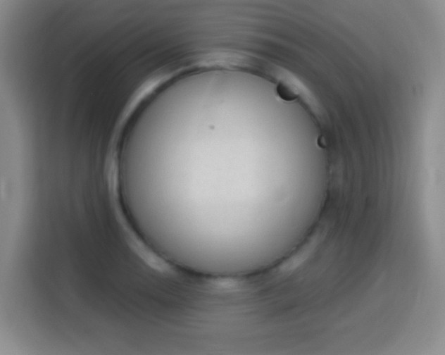 X0000113961130200910021520