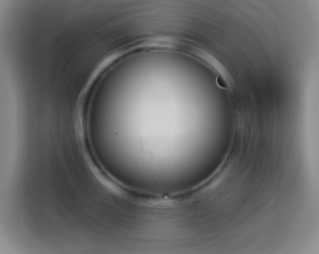 X0000113961131200910021520