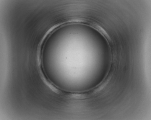 X0000113961132200910021520