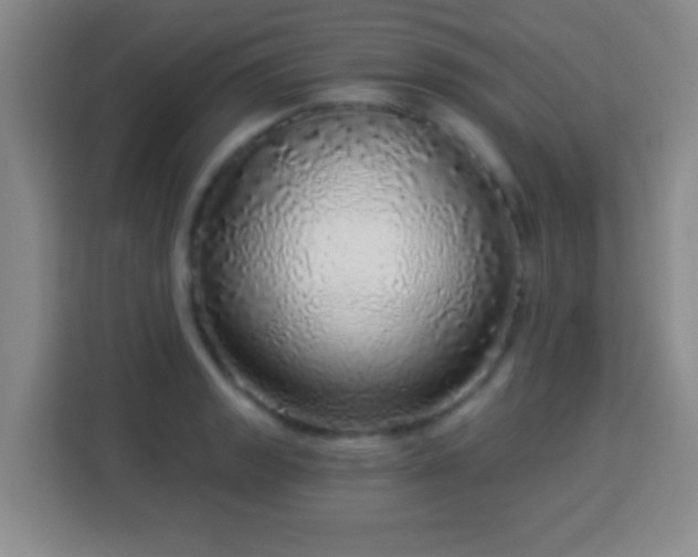 X0000113961133200910021520