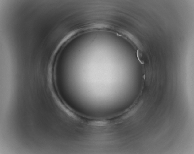 X0000113961134200910021520