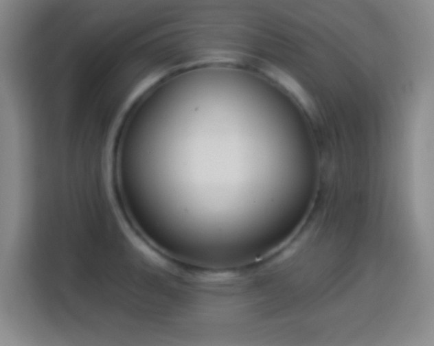 X0000113961135200910021520