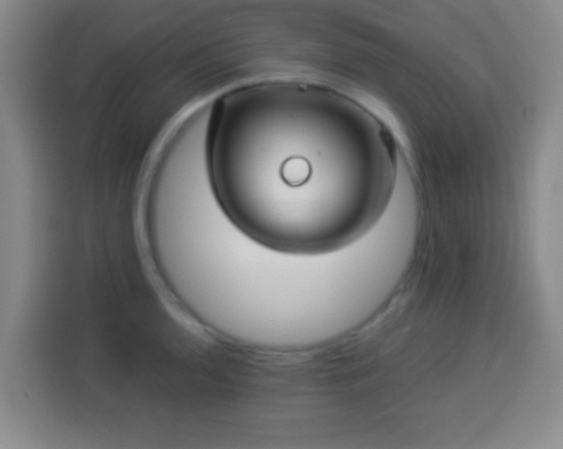 X0000113961136200910021520