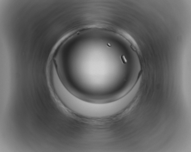 X0000113961138200910021520