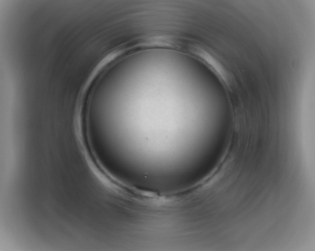 X0000113961139200910021520