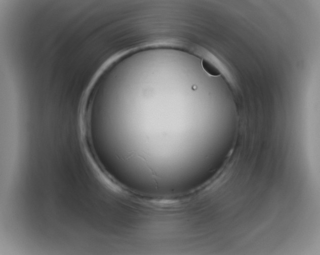 X0000113961140200910021520