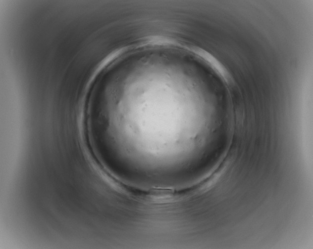 X0000113961142200910021520