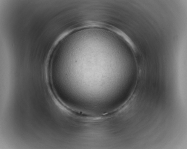 X0000113961143200910021520