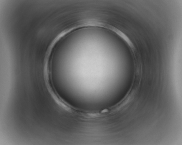 X0000113961144200910021520