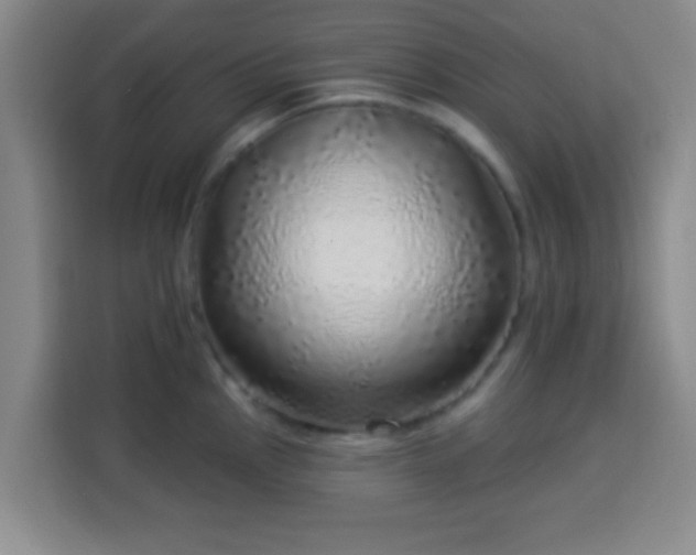 X0000113961145200910021520