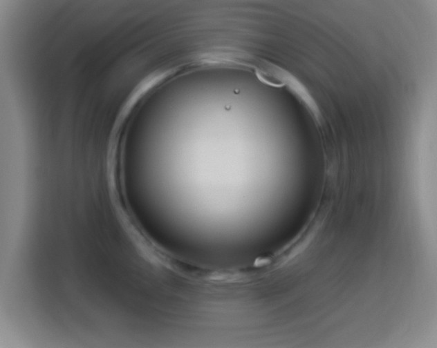 X0000113961146200910021520