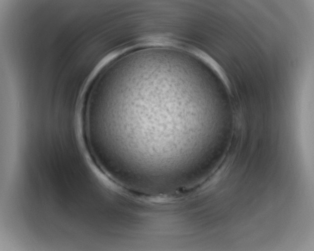 X0000113961147200910021520