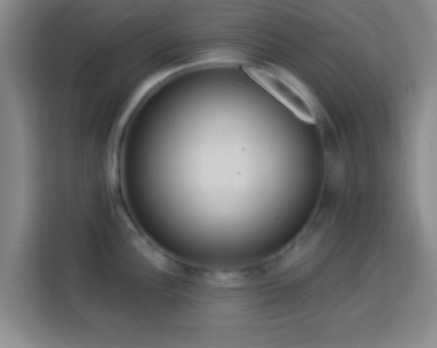 X0000113961148200910021520