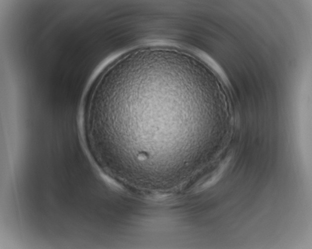 X0000113961149200910021520