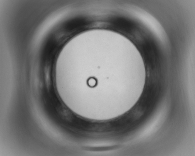 X0000113961150200910021521