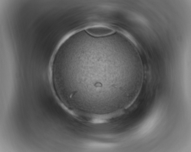 X0000113961151200910021521