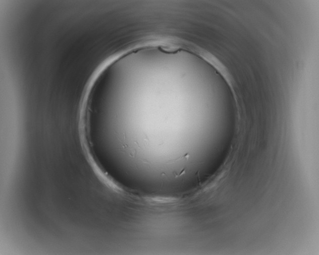 X0000113961152200910021521