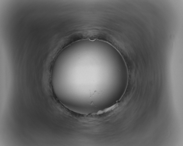 X0000113961153200910021520