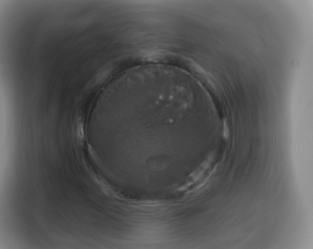 X0000113961155200910021520