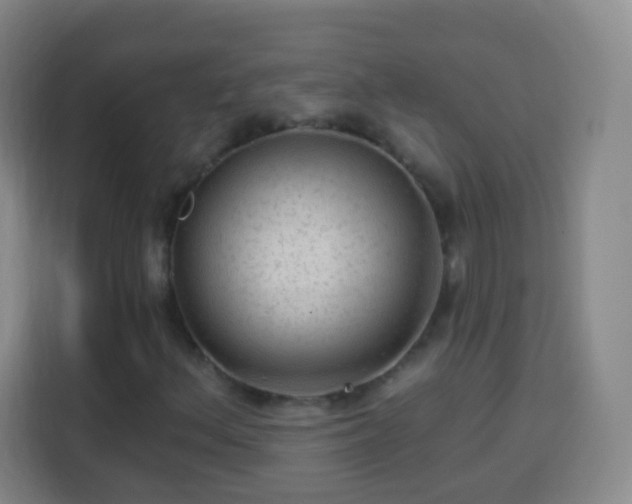 X0000113961156200910021520