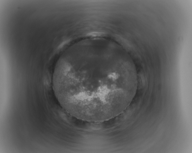 X0000113961158200910021520