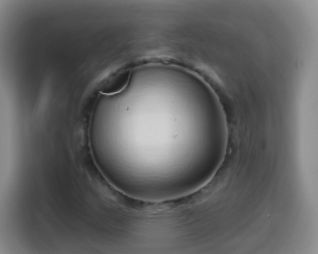 X0000113961159200910021520