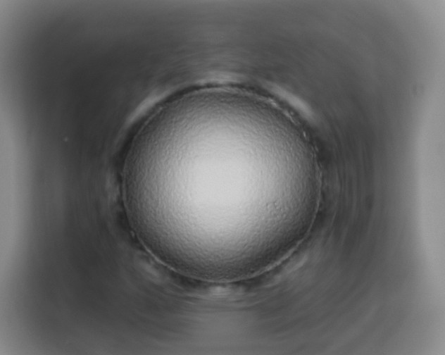 X0000113961160200910021520