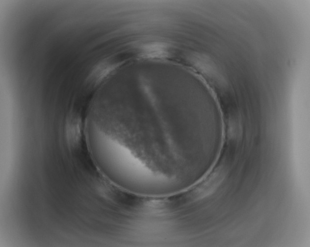 X0000113961161200910021520