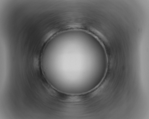 X0000113961162200910021520