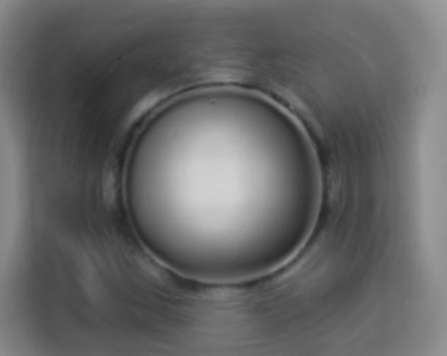 X0000113961163200910021520