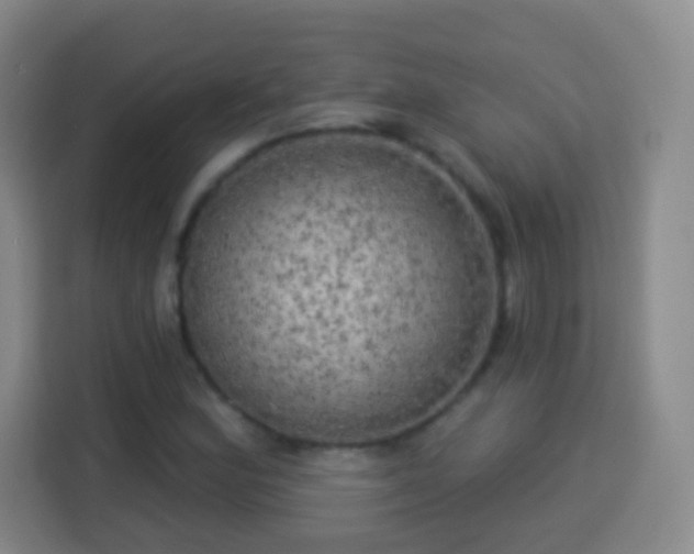 X0000113961164200910021520