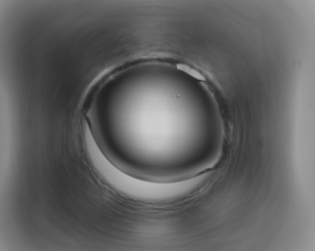 X0000113961165200910021520