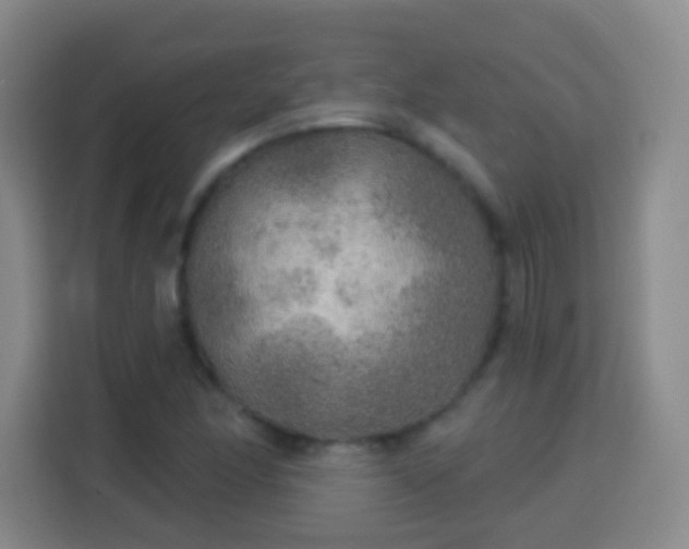 X0000113961166200910021520