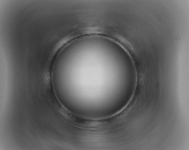 X0000113961167200910021520