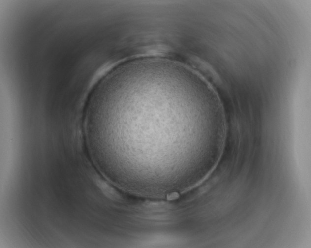 X0000113961168200910021520