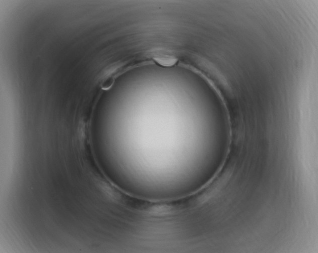 X0000113961169200910021520