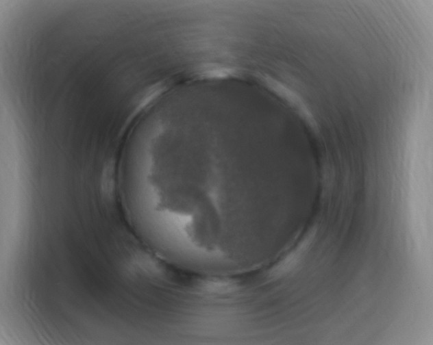 X0000113961170200910021520