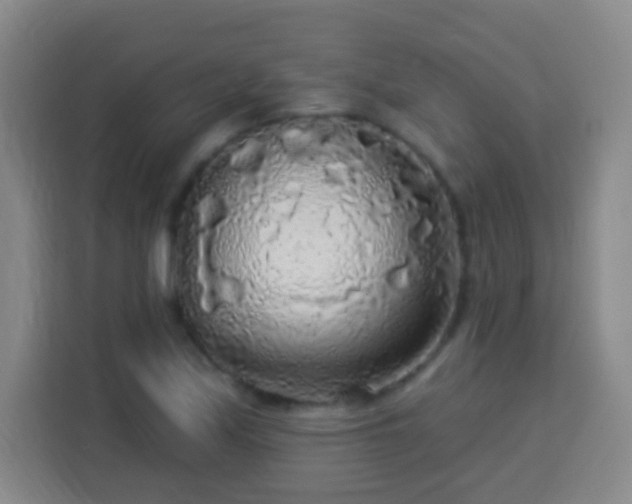 X0000113961171200910021520