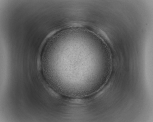 X0000113961172200910021520