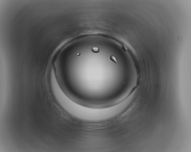 X0000113961173200910021520