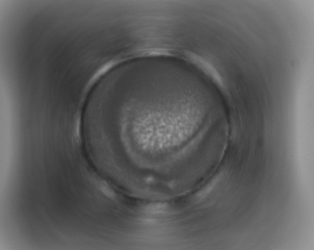 X0000113961174200910021520