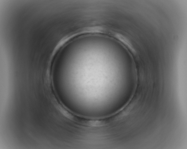 X0000113961176200910021520